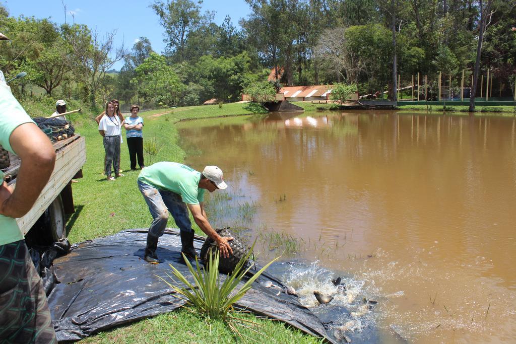 Hotel Fazenda Vista Alegre Sao Lourenco  Exteriör bild